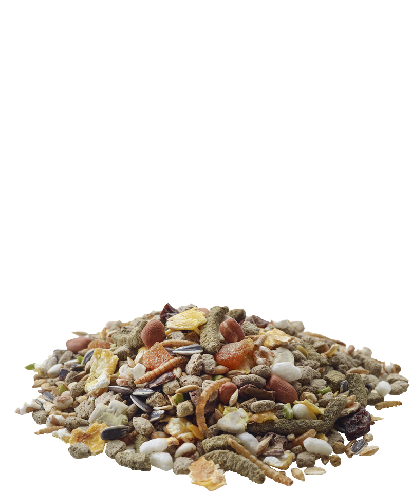 Versele Laga Nature Hamster – Bild 2