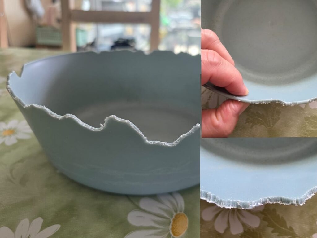 Bio Plastikschüssel, nach 3 Tagen