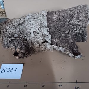Korkröhre 26301