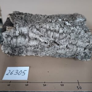 Korkröhre 26305