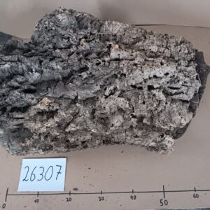 Korkröhre 26307