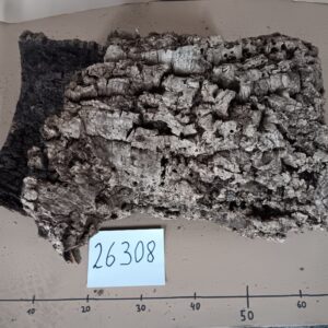 Korkröhre 26308