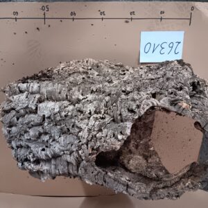 Korkröhre 26310