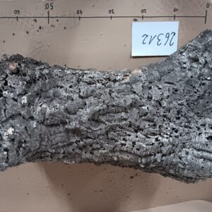 Korkröhre 26312