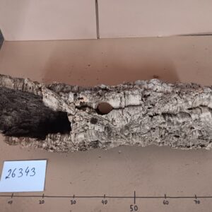 Korkröhre 26343