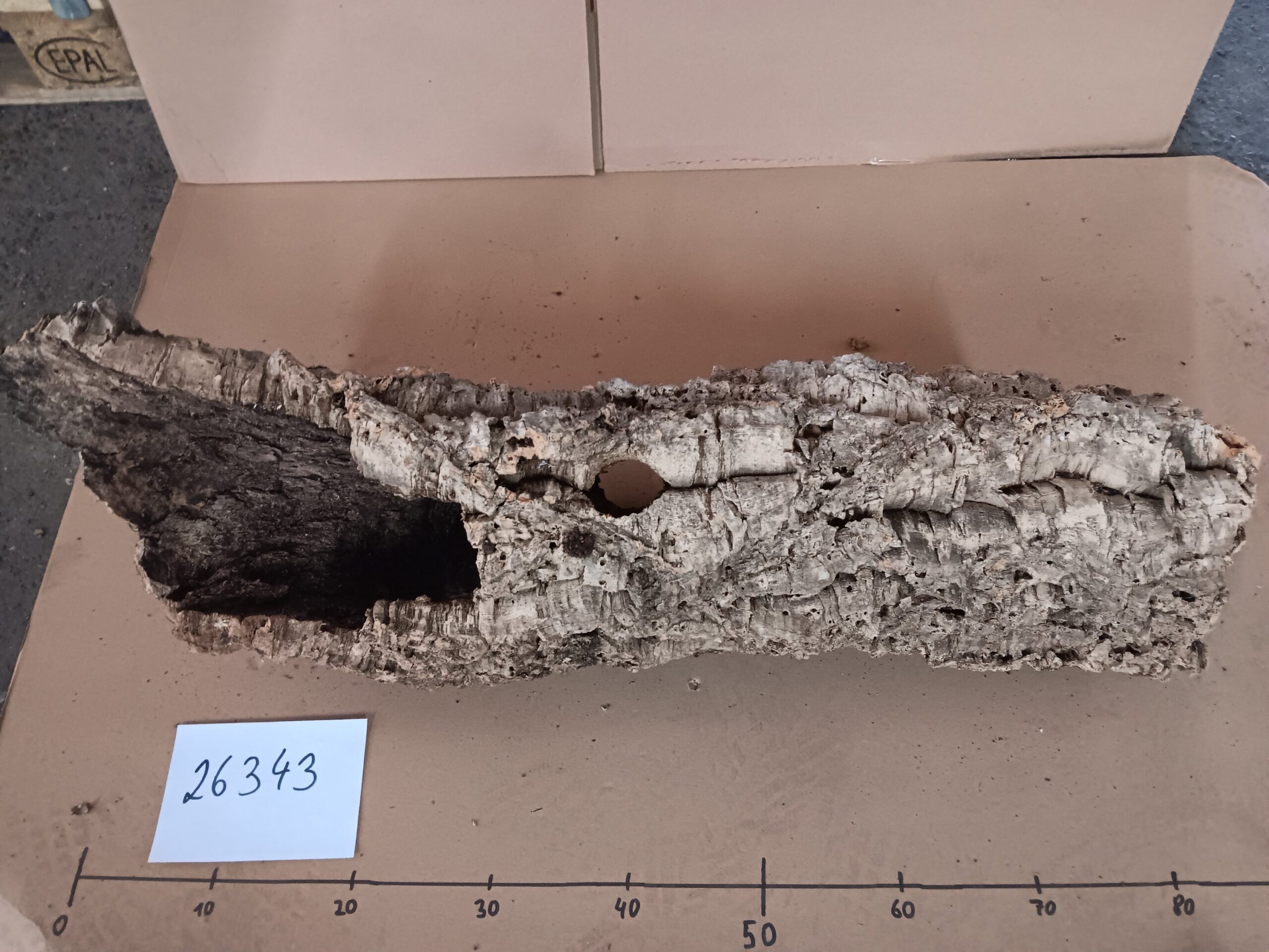Korkröhre 26343